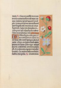Getijdenboek van koningin Isabella de Katholieke, koningin van Spanje: Fol. 55r, ca. 1500 door Master of the First Prayerbook of Maximillian