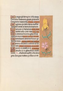 Getijdenboek van Koningin Isabella de Katholieke, Koningin van Spanje: Fol. 56r, c. 1500 door Master of the First Prayerbook of Maximillian