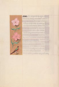Getijdenboek van koningin Isabella de Katholieke, koningin van Spanje: Fol. 56v