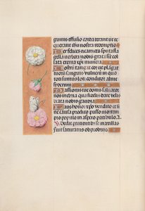 Getijdenboek van Koningin Isabella de Katholieke, Koningin van Spanje: Fol. 58v, ca. 1500 door Master of the First Prayerbook of Maximillian