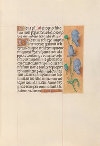 Uren van koningin Isabella de Katholieke, koningin van Spanje: Fol. 60r, ca. 1500