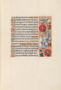 Getijdenboek van koningin Isabella de Katholieke, koningin van Spanje: Fol. 70r, ca. 1500 door Master of the First Prayerbook of Maximillian