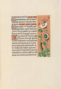 Getijdenboek van koningin Isabella de Katholieke, koningin van Spanje: Fol. 76r, ca. 1500 door Master of the First Prayerbook of Maximillian