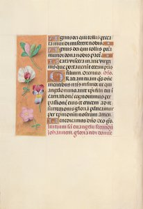 Getijdenboek van koningin Isabella de Katholieke, koningin van Spanje: Fol. 92v, ca. 1500 door Master of the First Prayerbook of Maximillian