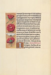 Getijdenboek van Koningin Isabella de Katholieke, Koningin van Spanje: Fol. 93v, ca. 1500