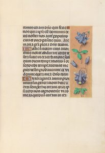 Getijdenboek van koningin Isabella de Katholieke, koningin van Spanje: Fol. 99r, ca. 1500 door Master of the First Prayerbook of Maximillian