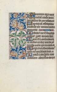 Getijdenboek Gebruik van Rouen: fol. 117v