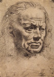Hoofd van een man door Master of the Pala Sforzesca