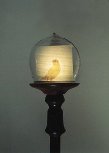 Antiek door Mat Collishaw