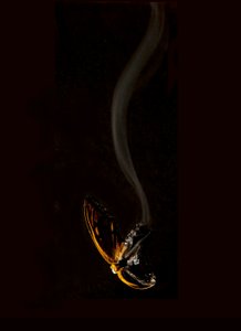 Brandende vlinder 15, 2013 (Lambda print)