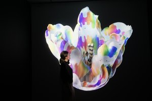 Heterosis, op de tentoonstelling 