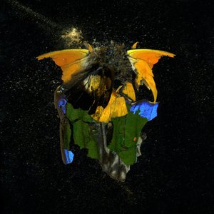 Insecticide 14, 2009 (C-type foto)
