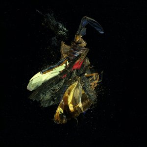 Insecticide 18, 2009 (C-type foto) door Mat Collishaw