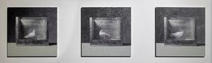 Operant Conditioning Kamer 3, 2022 (Olieverf op aluminium paneel) door Mat Collishaw