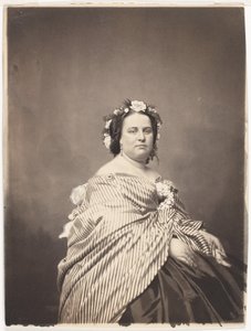  door Mathew B. Brady
