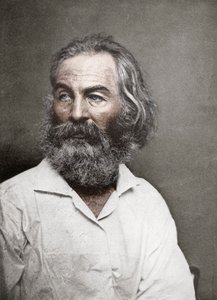 Walt Whitman, Amerikaanse dichter, ca. 1880s