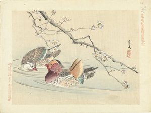 Twee eenden door Matsumura Keibun