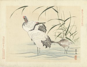 Twee kraanvogels met jong door Matsumura Keibun