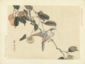 Vogel en kaki door Matsumura Keibun