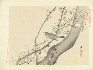 Vogeltje in boom met witte bloesem door Matsumura Keibun