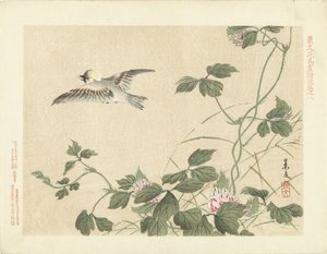 Wegvliegende vogel bij klimplant met roze bloemen