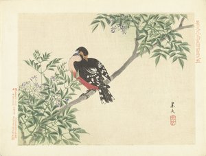 Zwart-rode vogel door Matsumura Keibun