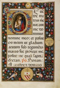 Sint Johannes de Doper door Matteo da Milano