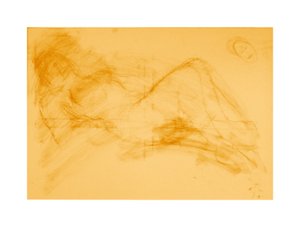 zij doet wat, 2008 (potlood/gouache)
