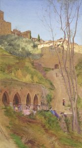 Wasvrouw bij de wasput, San Gimignano, Italië