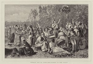 Armoede buiten de Stad, Hopplukkers in de Velden
