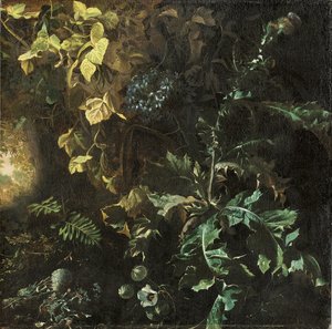 Distels en andere planten op een bosbodem, een landschap daarachter, fragment