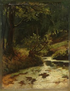 Beek in het bos bij Oosterbeek