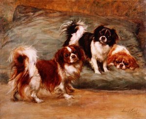 Drie King Charles Spaniels op een Kussen door Maud Earl