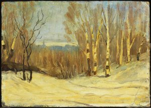 Winter bij Montreal door Maurice Galbraith Cullen