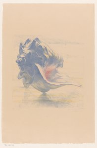 Schelp door Maurits van der Valk (signed by artist)