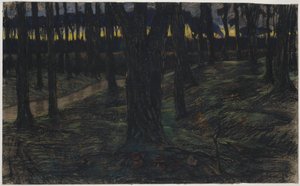 Bosgezicht bij zonsondergang
