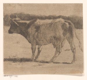 Koe in een weiland door Maurits van der Valk