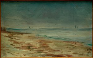 Zee-strand, bruin en grijs