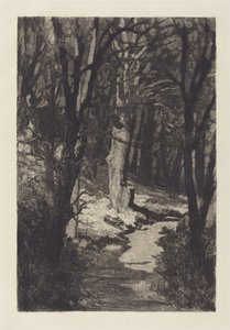 In het bos