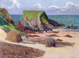 Zeewier oogsten, 1891