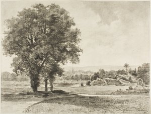 Landschap