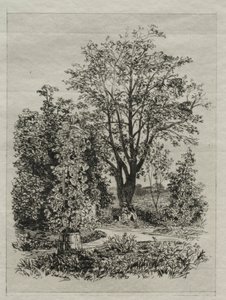 Mijn tuin door Maxime Lalanne