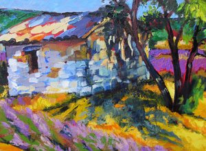 Zomer in de Provence
