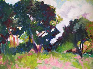 Levendig zomerlandschap