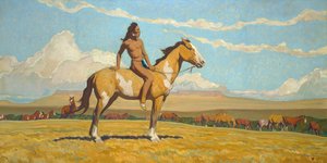 De Ponyjongen