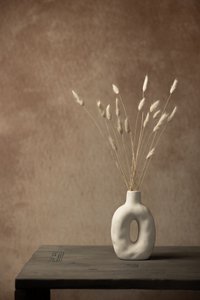 Minimalistisch stilleven met gedroogd gras door Mayra Pama