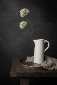 Rustiek stilleven met allium door Mayra Pama