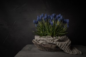 Rustieke blauwe bloemen door Mayra Pama