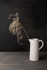Witte kan met pampasgras door Mayra Pama