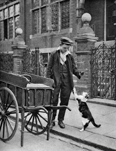 Kattenvleesman, Londen, 1926-1927